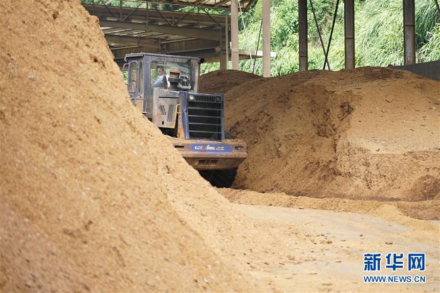 （在習近平新時代中國特色社會主義思想指引下&mdash;&mdash;新時代新作為新篇章&middot;總書記關(guān)心的百姓身邊事&middot;圖文互動）（4）大污染變身&ldquo;大寶藏&rdquo;：治理畜禽糞污，他們這樣干！