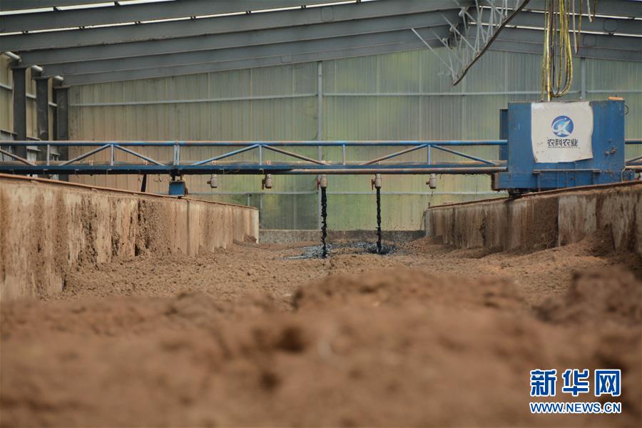 （在習近平新時代中國特色社會主義思想指引下&mdash;&mdash;新時代新作為新篇章&middot;總書記關(guān)心的百姓身邊事&middot;圖文互動）（5）大污染變身&ldquo;大寶藏&rdquo;：治理畜禽糞污，他們這樣干！