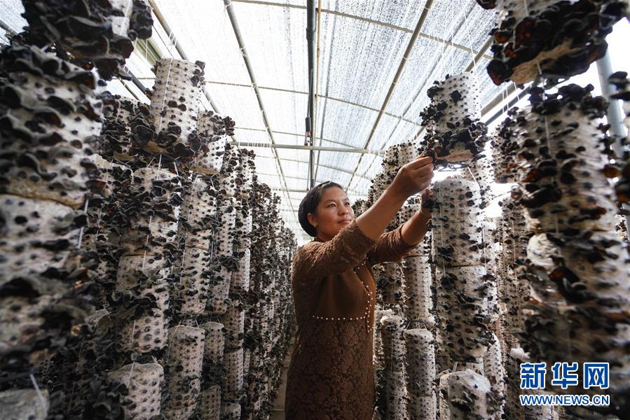 (新華全媒頭條·決戰(zhàn)決勝脫貧攻堅·圖文互動)(6)以沖刺的狀態(tài)跑出決勝的姿態(tài)——“三區(qū)三州”甘肅深貧區(qū)脫貧攻堅報告