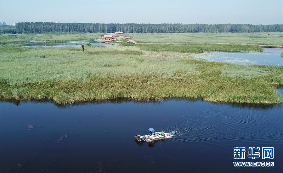 （壯麗70年&middot;奮斗新時代&middot;重溫囑托看變化&middot;圖文互動）（4）雄安新區：錨定高質量發展　奮力書寫新時代答卷