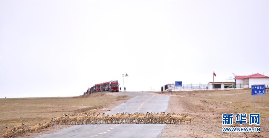 （新華全媒頭條&middot;圖文互動）（4）確保&ldquo;中華水塔&rdquo;碧水東流&mdash;&mdash;中國三江源生態保護報告
