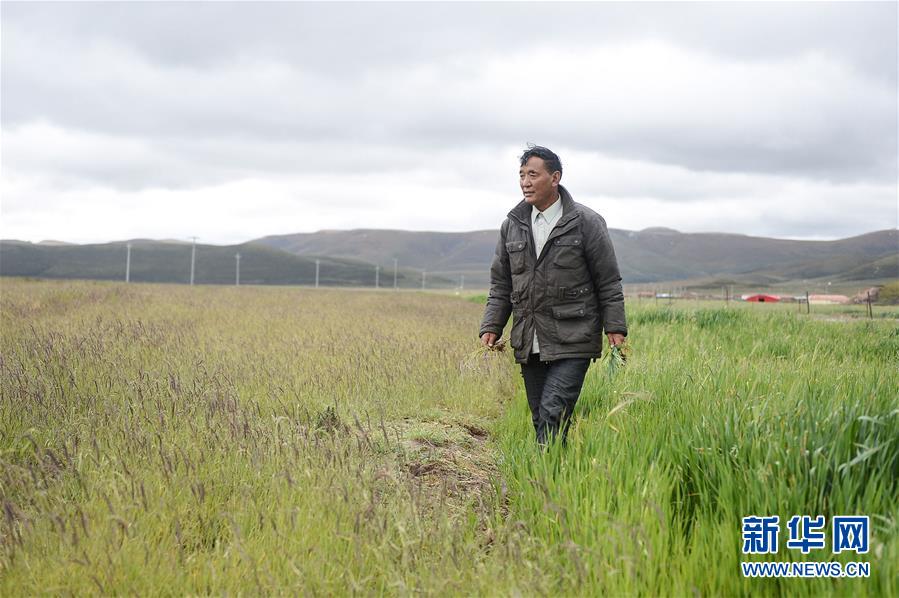 （新華全媒頭條&middot;圖文互動）（8）確保&ldquo;中華水塔&rdquo;碧水東流&mdash;&mdash;中國三江源生態保護報告