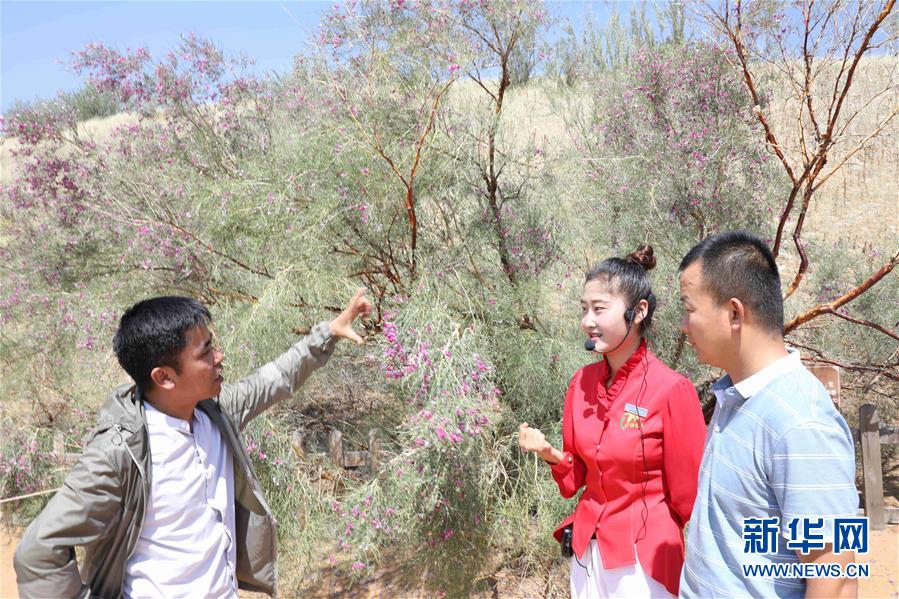 （走讀黃河&middot;圖文互動）（2）中衛：33萬畝沙區變灌區