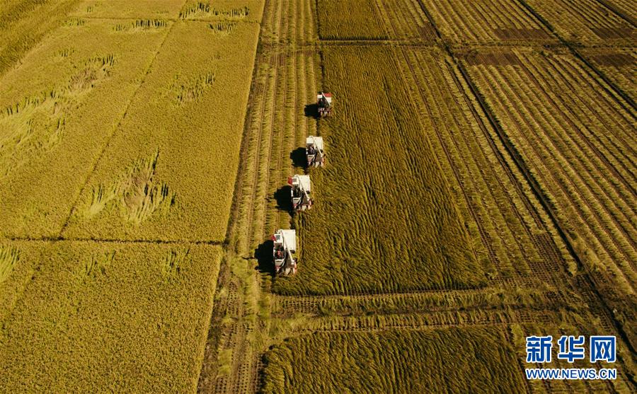 （新華全媒頭條&middot;圖文互動）（5）紅色的傳承，藍(lán)圖的起點(diǎn)&mdash;&mdash;新中國孕育與發(fā)展的&ldquo;東北記憶&rdquo;