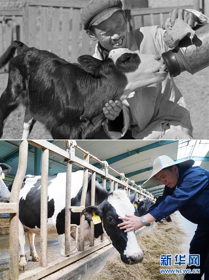 （壯麗70年&middot;奮斗新時代）（8）70年時光流影 70行見證發展