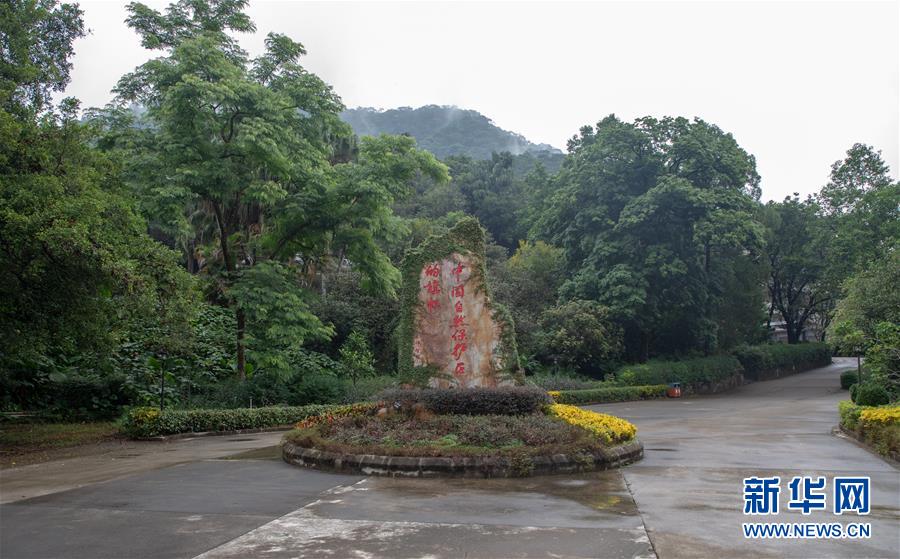 （圖文互動）（1）科學接續保護 守住生態紅線&mdash;&mdash;探訪&ldquo;北回歸沙漠帶上的綠色明珠&rdquo;