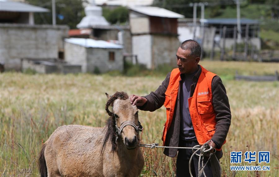 （新華全媒頭條&middot;決戰決勝脫貧攻堅&middot;圖文互動）（4）為了人與自然和諧共生&mdash;&mdash;云南&ldquo;三江并流&rdquo;地區決戰精準脫貧的&ldquo;生態畫卷&rdquo;