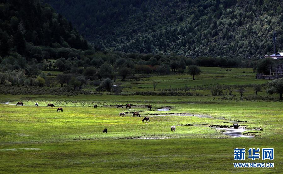 （新華全媒頭條&middot;決戰決勝脫貧攻堅&middot;圖文互動）（7）為了人與自然和諧共生&mdash;&mdash;云南&ldquo;三江并流&rdquo;地區決戰精準脫貧的&ldquo;生態畫卷&rdquo;