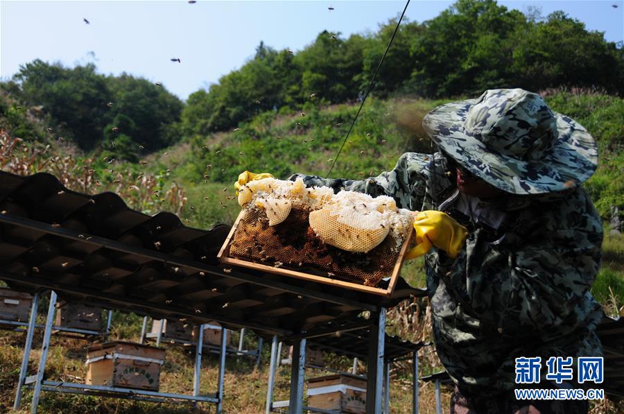 （新華全媒頭條&middot;圖文互動(dòng)）（4）永不歸來的&ldquo;戰(zhàn)士&rdquo;&mdash;&mdash;追記倒在脫貧攻堅(jiān)一線的貴州沿河縣駐村第一書記文偉紅