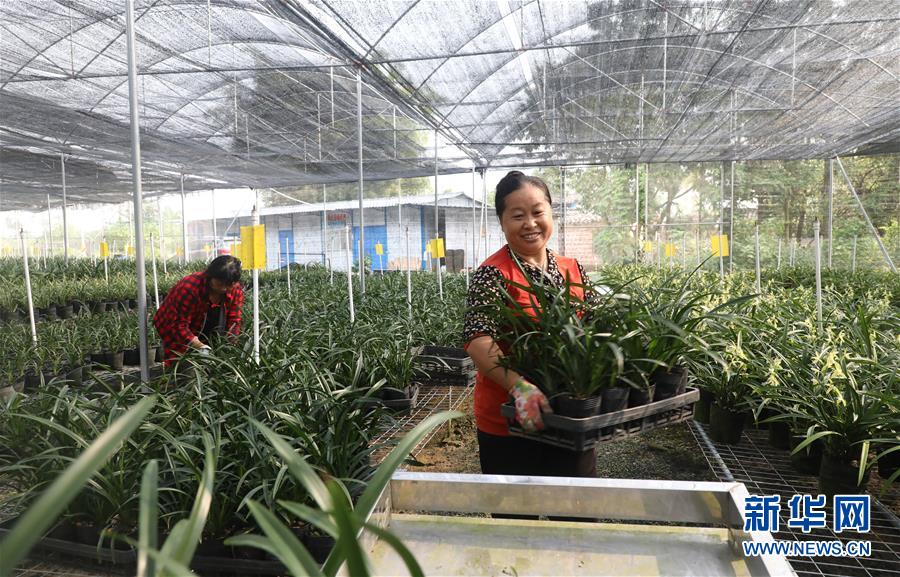 （在習近平新時代中國特色社會主義思想指引下&mdash;&mdash;新時代新作為新篇章&middot;總書記關心的百姓身邊事&middot;圖文互動）（2）&ldquo;科技秀才&rdquo;給田野帶來新希望