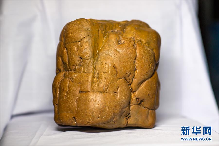 (圖文互動)(1)黑龍江海倫發現罕見古生物群