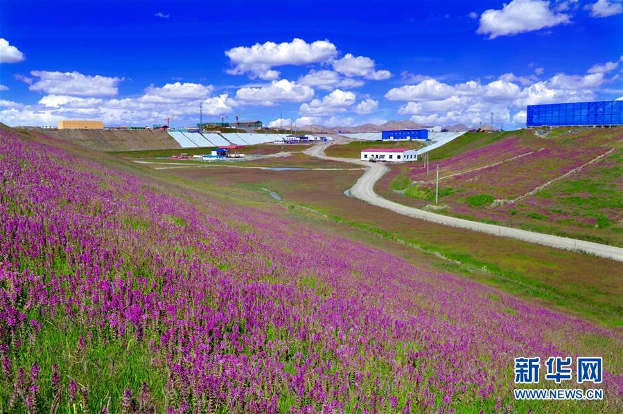 （新華全媒頭條&middot;圖文互動）（7）綠色的啟示&mdash;&mdash;西部地區生態問題典型個案再調查