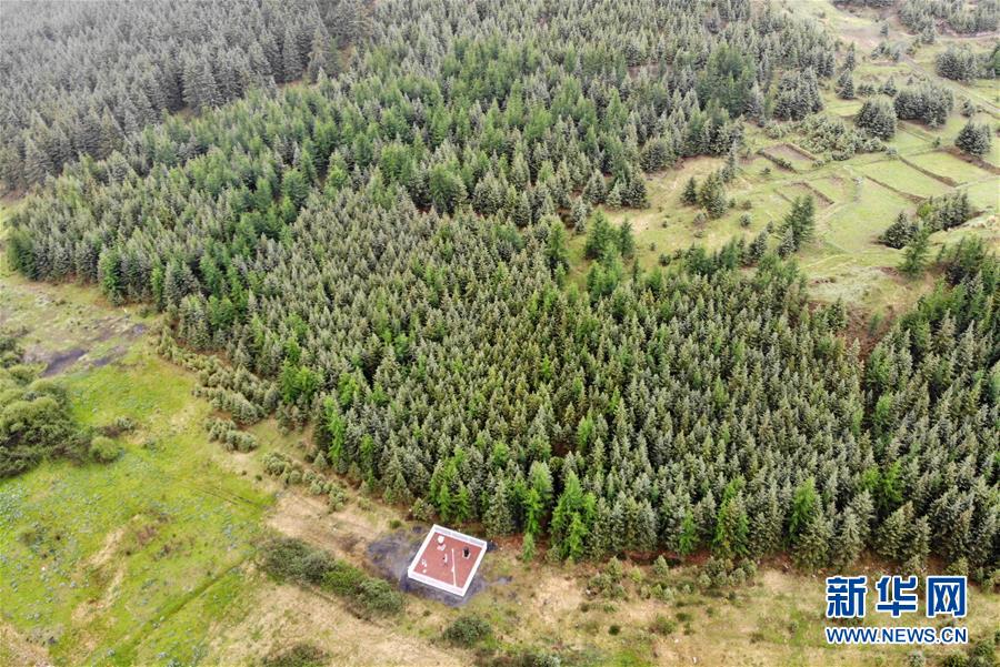 （新華全媒頭條&middot;圖文互動）（11）綠色的啟示&mdash;&mdash;西部地區生態問題典型個案再調查