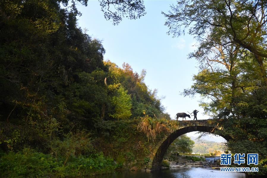 （圖文互動）（3）鄉村攝影師、鄉村&ldquo;模特&rdquo;、民宿店主&mdash;&mdash;鄉村旅游推動婺源農民生活方式發生新變化
