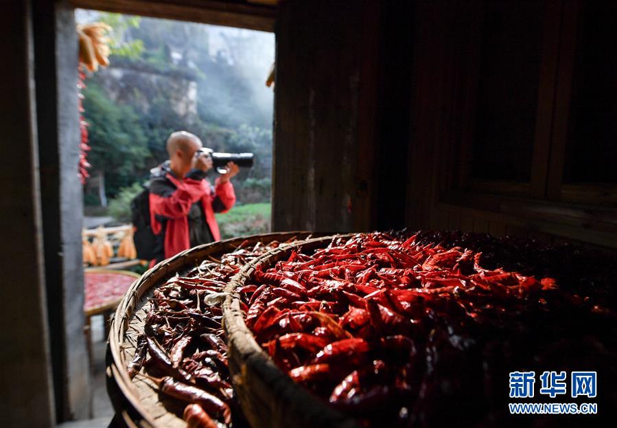 （圖文互動）（6）鄉村攝影師、鄉村&ldquo;模特&rdquo;、民宿店主&mdash;&mdash;鄉村旅游推動婺源農民生活方式發生新變化