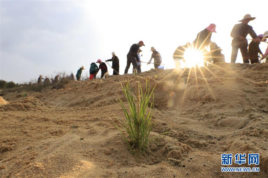 （在習近平新時代中國特色社會主義思想指引下&mdash;&mdash;新時代新作為新篇章&middot;總書記關切高質量發展&middot;圖文互動）（4）在藍天白云下&mdash;&mdash;污染防治攻堅戰持續推進
