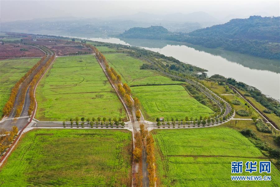 （四中全會精神在基層&middot;圖文互動）（2）一江碧水串起綠色島鏈&mdash;&mdash;重慶江心島&ldquo;生態留白&rdquo;調查