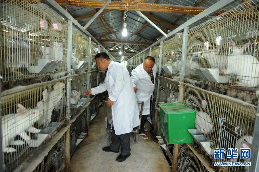 （新華全媒頭條&middot;圖文互動）（4）干部去哪兒了？&mdash;&mdash;貴州干部大規模下沉脫貧攻堅一線紀實