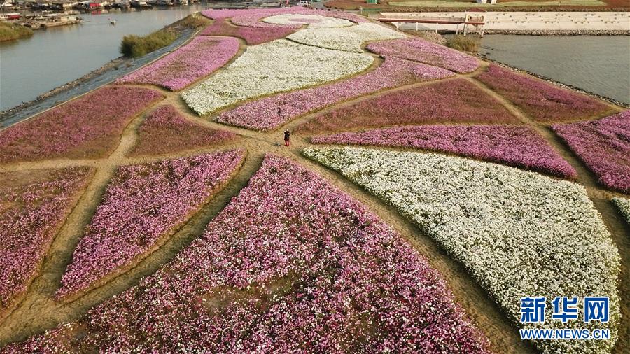 （新華全媒頭條&middot;圖文互動）（5）大湖見證&mdash;&mdash;長三角三大淡水湖綠色發(fā)展之路
