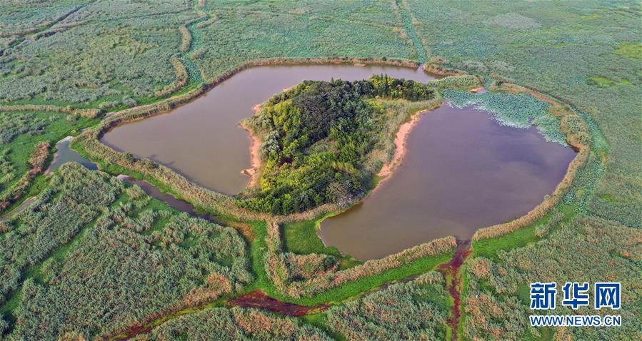 （新華全媒頭條&middot;圖文互動）（13）大湖見證&mdash;&mdash;長三角三大淡水湖綠色發(fā)展之路