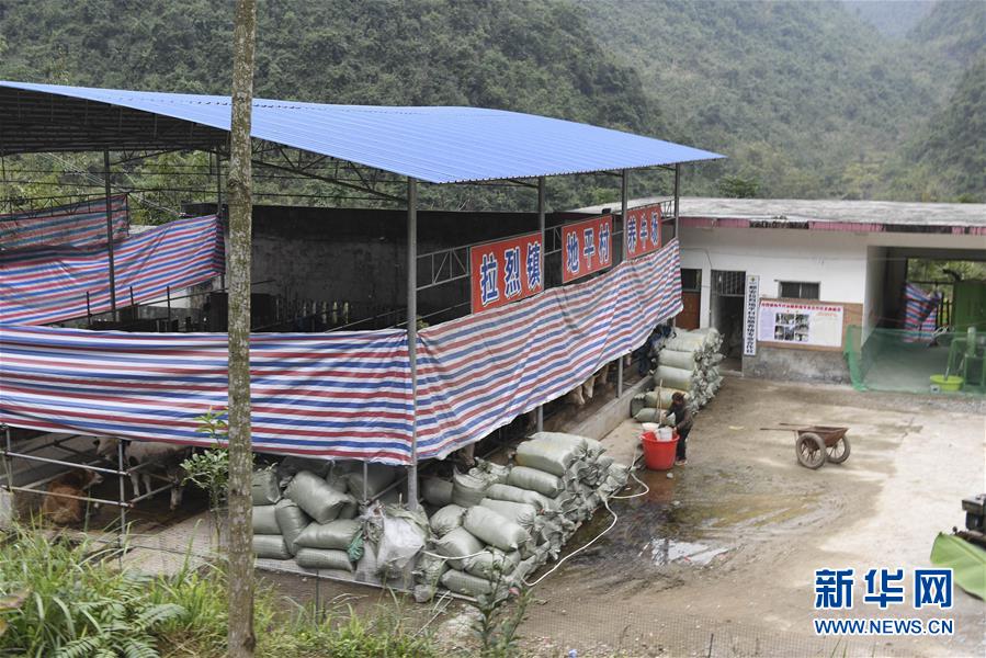 （脫貧攻堅&middot;圖文互動）（2）為了不讓一個貧困戶落下&mdash;&mdash;追記廣西都安縣駐村第一書記黃景教