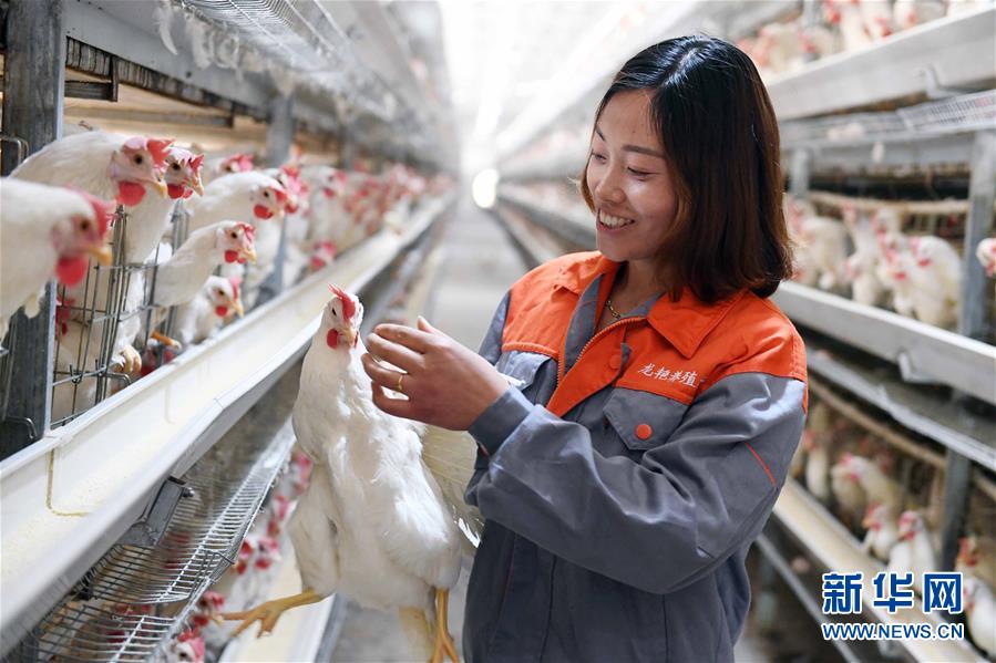 （新華全媒頭條&middot;兩會特別報道&middot;圖文互動）（6）在推進高質量發展中創造廣闊空間&mdash;&mdash;從全國兩會看奮進中國的發展機遇