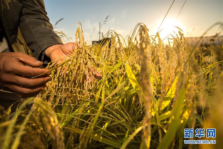 （新華全媒頭條&middot;圖文互動）（5）上下同心再出發(fā)&mdash;&mdash;習近平總書記同出席2019年全國兩會人大代表、政協(xié)委員共商國是紀實