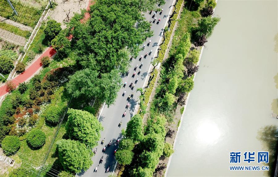 （新華全媒頭條&middot;圖文互動）（9）深入推進大保護 打造引領高質量發展生力軍&mdash;&mdash;推動長江經濟帶發展座談會召開四年間