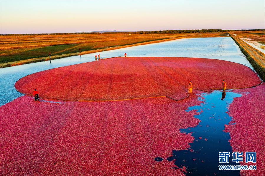 (圖文互動)(9)從“輕工漁網重工馬掌”到“圓夢小康”——“中國東極”脫貧攻堅剪影