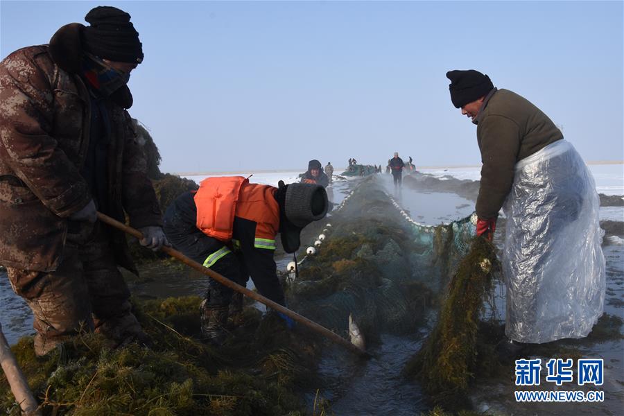 （新春走基層&middot;圖文互動）（4）&ldquo;干活的人不會冷&rdquo;&mdash;&mdash;直擊新疆吉力湖冬捕現場
