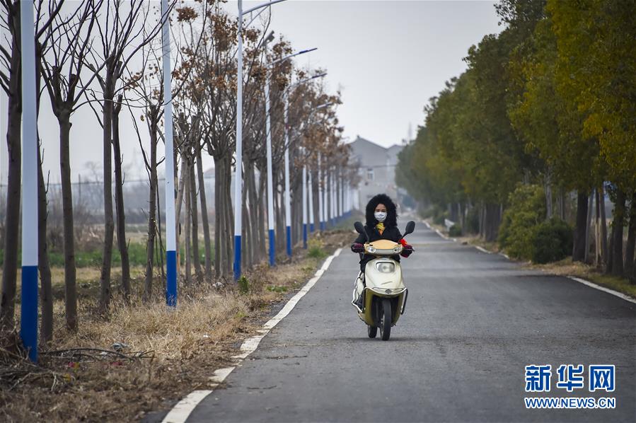 （聚焦疫情防控&middot;圖文互動）（4）一個湖北村莊的阻擊戰