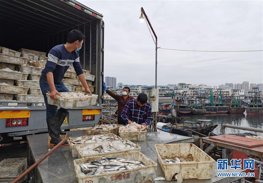 （圖文互動）（5）與疫情抗爭 與春光同行&mdash;&mdash;廣西農(nóng)村春耕備耕一線觀察