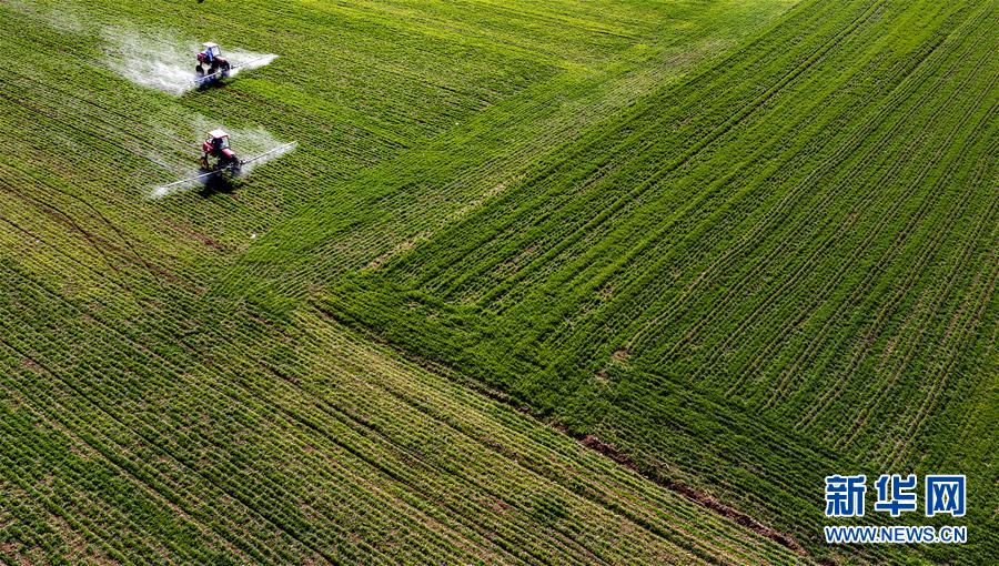（新華全媒頭條&middot;圖文互動）（13）磨難壓不垮 奮起正當時&mdash;&mdash;習近平總書記在統籌推進新冠肺炎疫情防控和經濟社會發展工作部署會議上的重要講話振奮人心凝聚力量