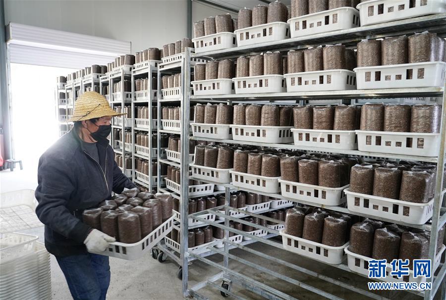 （決戰決勝脫貧攻堅&middot;圖文互動）（1）秦巴山區：戰疫戰貧，兩場仗都要打贏