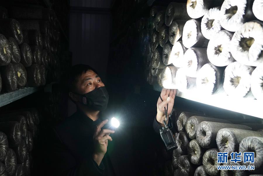 （決戰決勝脫貧攻堅&middot;圖文互動）（4）秦巴山區：戰疫戰貧，兩場仗都要打贏