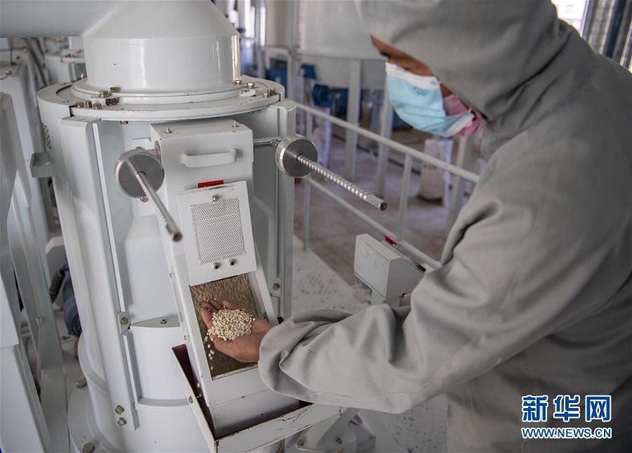 (新華全媒頭條·圖文互動)(7)血脈同心 共盼春來——疫情阻擊戰(zhàn)中的雪域故事