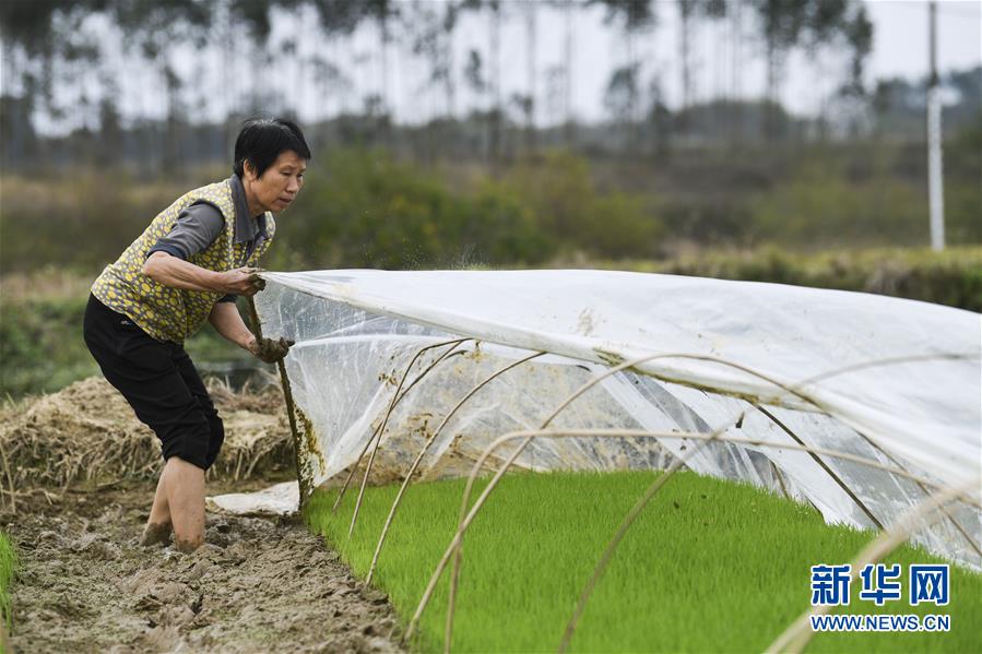 （圖文互動）（2）&ldquo;早一天復(fù)工，損失就少一點(diǎn)&rdquo;&mdash;&mdash;廣西以精準(zhǔn)防控推動復(fù)工復(fù)產(chǎn)一線見聞