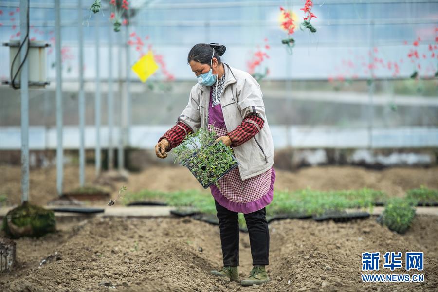 （新華全媒頭條&middot;圖文互動）（9）書寫新的轉折&mdash;&mdash;寫在革命老區遵義全面脫貧之際