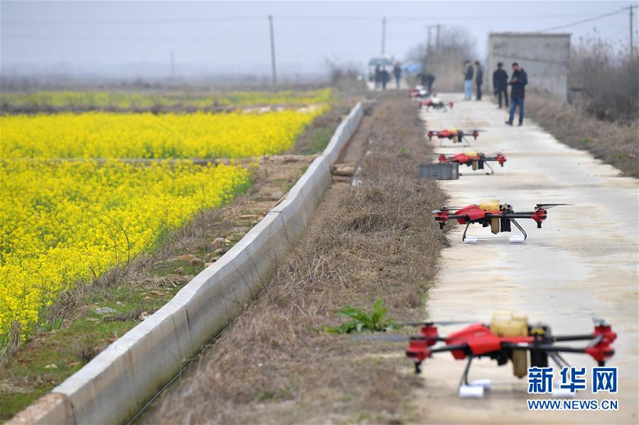 （抓好春耕備耕 穩住農業生產&middot;圖文互動）（4）智能農機、&ldquo;訂單&rdquo;服務、&ldquo;云端&rdquo;種菜&mdash;&mdash;來自江西的春耕&ldquo;新事&rdquo;