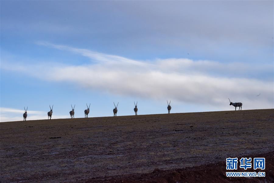 （新華全媒頭條&middot;圖文互動）（1）跨越半個世紀的生命遷徙&mdash;&mdash;西藏極高海拔生態搬遷破解人與自然共生難題