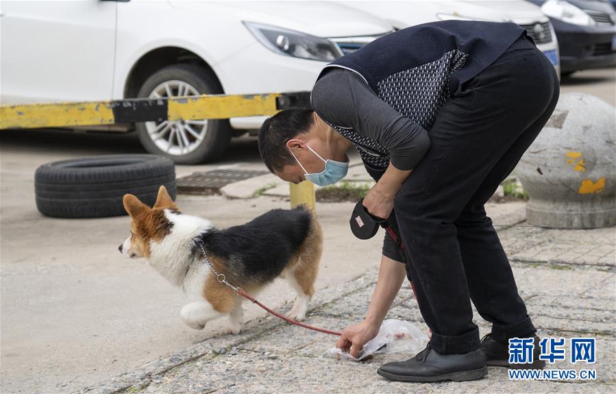 （聚焦疫情防控）（9）武漢：動物醫院里的臨時&ldquo;奶爸&rdquo;