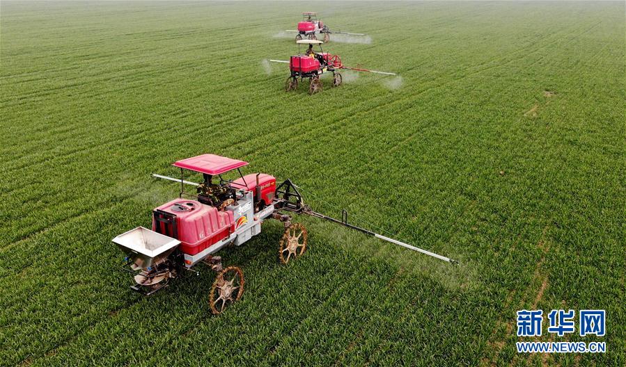 （新華全媒頭條&middot;圖文互動）（3）春天，匯聚復蘇的力量&mdash;&mdash;寫在2020年首季中國經濟收官之際