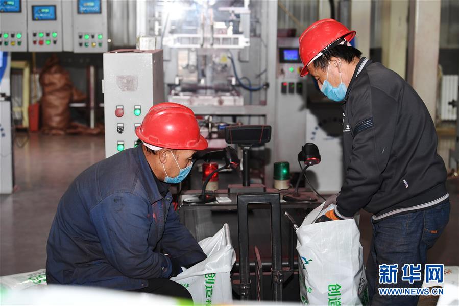 （抓好春耕備耕 穩(wěn)住農業(yè)生產&middot;圖文互動）（2）走向泥土是我們的終極夢想&mdash;&mdash;一粒種子的自述