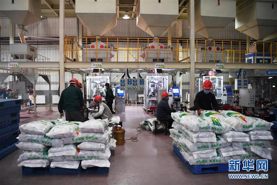 （抓好春耕備耕 穩(wěn)住農業(yè)生產&middot;圖文互動）（3）走向泥土是我們的終極夢想&mdash;&mdash;一粒種子的自述