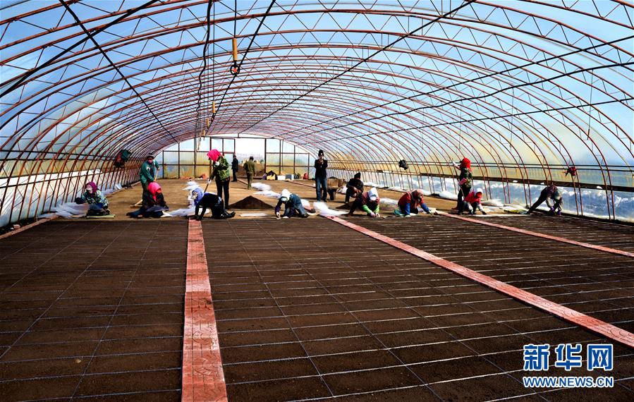 （在習近平新時代中國特色社會主義思想指引下&mdash;&mdash;新時代新作為新篇章&middot;習近平總書記關切事&middot;圖文互動）（5）希望的田野，希望的春天&mdash;&mdash;各地農業生產新動態掃描