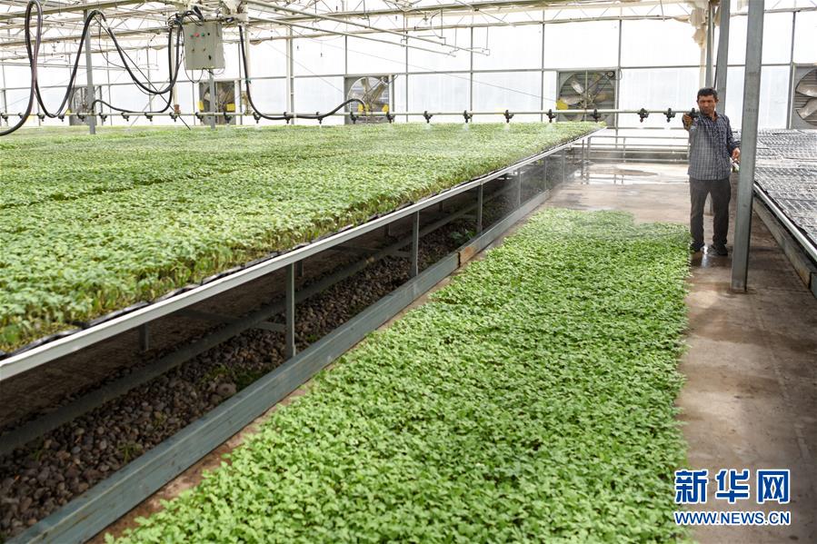 （決戰決勝脫貧攻堅&middot;圖文互動）（3）決戰昆侖&mdash;&mdash;新疆聚焦10個未摘帽縣展開深度貧困攻堅戰 