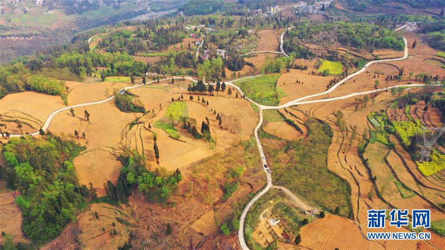 （決戰(zhàn)決勝脫貧攻堅&middot;圖文互動）（2）寄相思，償夙愿&mdash;&mdash;5封清明&ldquo;家書&rdquo;里的決戰(zhàn)決勝信念