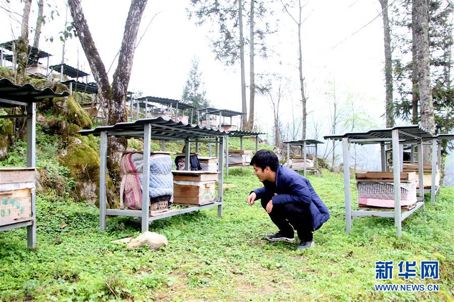 （決戰(zhàn)決勝脫貧攻堅&middot;圖文互動）（3）寄相思，償夙愿&mdash;&mdash;5封清明&ldquo;家書&rdquo;里的決戰(zhàn)決勝信念