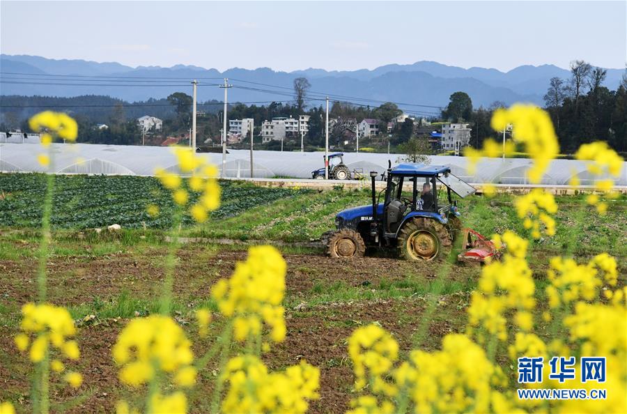 （決戰決勝脫貧攻堅&middot;圖文互動）（3）貴州黔東南：搶抓壩區春耕 決勝脫貧攻堅