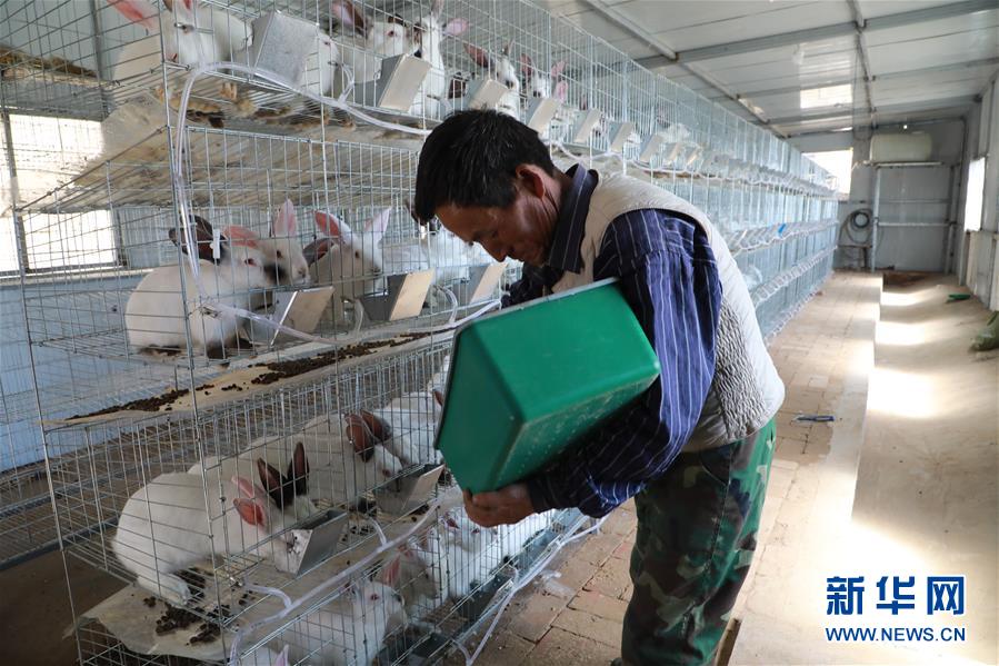 （在習(xí)近平新時代中國特色社會主義思想指引下&mdash;&mdash;新時代新作為新篇章&middot;習(xí)近平總書記關(guān)切事&middot;圖文互動）（1）啃下最后的硬骨頭&mdash;&mdash;脫貧攻堅(jiān)掛牌督戰(zhàn)進(jìn)行時